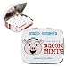 Bacon Flavored Mints