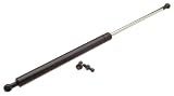OES Genuine Hood Strut