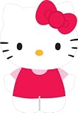 SANRIO Hello