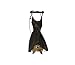 Real Taxidermy Bat | Hanging Intermediate Roundleaf Bat 3