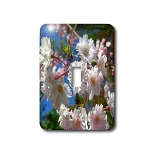 Edmond Hogge Jr Floral - Cherry Blossoms - Light Switch Covers