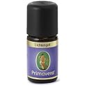 Primavera Lichtengel 5 ml