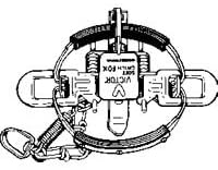 Coil Spring Wildlife Trap