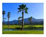 Arnold Palmer Golf Course in PGA West Giclee Poster Print by Vivian Allsopp, 10x8