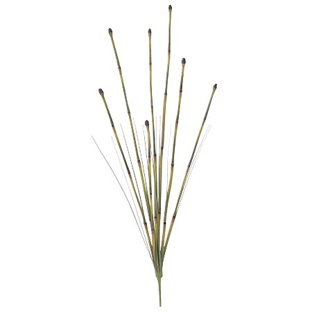 Cover image : 【人工植物】トクサ株立