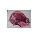 Butterfly Discovery Play Tent Sleeping Bag Flashlight Girls Set