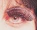 Lashes are approximately 3/4" long with adhesive Can be used over and over again