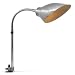 FRENCH ANTIQUE DESK LIGHT（フレンチアンティークデスクライト）