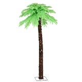 Vickerman 7 ft. Chartreuse Palm Tree