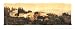 Bella Sera I - Poster by Amy Melious (20x8)