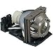 Acer - Projector lamp