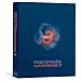 Macromedia Authorware 7 [Old Version]