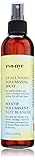 Eva NYC Up All Night Volumizing Spray, 8 Fluid Ounce