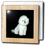 Dogs Bichon Frise - Bichon Frise - Tile Napkin Holders