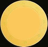 Set of 20 Yellow Casino Chip - Clay Pro Series