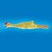 Rubber Chicken