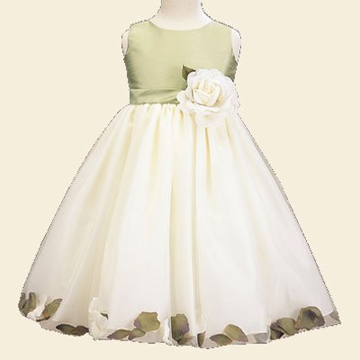 Inexpensive Flowergirl Gowns