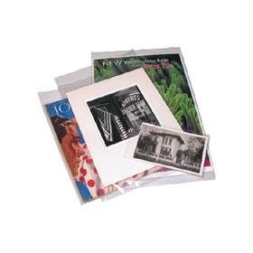 Printfile Polyethylene Bag With 2in Flap 4 Mil. 11-3/8X14 - Printfile 1114BAG