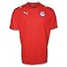 Egypt 08/09 Home Soccer Jersey Image