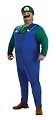 Rubie?s Costume Co Super Mario Brothers Luigi Costume, Green Plus