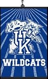 Kentucky Wildcats Set of 2 Golf Towels