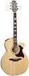Takamine EG543SC NEX Cutaway Solid Top Acoustic-Electric Guitar
