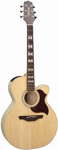 Childrens Toyshop  Musical Instruments : Takamine EG543SC NEX Cutaway Solid Top Acoustic-Electric Guitar