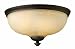 Hinkley Lighting 4171VZ 3 Light Thistledown Flush Mount Ceiling