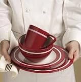 Emeril from Wedgwood 5820210315 Emeril's Professional Series Very Berry Dinnerware Set 4-pc.