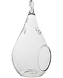 CYS Plant Terrarium Glass Container Tear Drop Height 5.5 inches