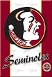 Florida State Refrigerator Magnet