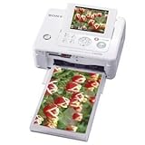 \j[ fW^tHgv^ FP95 zCg DPP-FP95 W