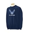 Custom U.S. Air Force wings logo on sweatshirt