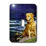 Dogs Golden Retriever - Golden Retriever - Light Switch Covers - single toggle switch