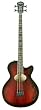Washburn Signature Series AB40SHBCBK Acoustic-Electric Bass w/ Case