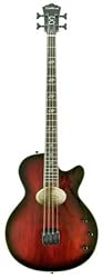 Washburn Signature Series AB40SHBCBK Acoustic-Electric Bass w/ Case