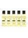 The Kama Sutra Massage Therapy Kit should be the first thing you pack if you're thinking about a romantic weekend getaway. Pack at least one for yourself and another for your partner of our take-along massage therapy oils. And don't forget about them when you're at home either. The perfect way to sample several blends each is infused with natural essential oils skin-smoothing emollients and nourishing Vitamin E. Includes two ounces each of Serenity Pleasure Garden Sweet Almond and Soaring Spirit.Kama Sutra Therapy Kit is a Kama Sutra Company original product.Kama Sutra Massage Therapy Kit Contains: Set of five 2 Oz. bottles of Kama Sutra Massage Oil