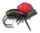 Foam Beetle Fly Fishing Fly