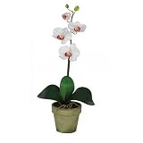 Phalaenopsis Silk Orchid Flower Arrangement