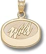 Minnesota "Wild" Puck 7/16" Charm/Pendant -14K/10K, Stainless Steel or Gold Plated
