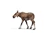 Schleich Moose Cow