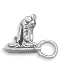 Sterling Silver Bookworm Charm