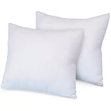 BioPedic Luxurious 28-by-28 Inch Euro Square Pillows, 2-Pack