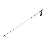 Alpina TD 600 XC Ski Poles - Adult