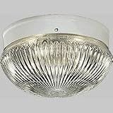 Ceiling Fixtures Progress Lighting P3407