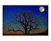 Moonlight Emerging Artists Photographic Poster Print by stephen walton, 20x16