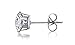 Areke Women's Stainless Steel Round Clear Cubic Zirconia Diamond Rhinestone Stud Earring (6 Pairs)