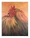 French Country Rooster Giclee Poster Print by Nadine M. Rippelmeyer, 16x20