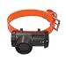 Kitchen & Housewares : PetSafe Sportdog Deluxe Beeper