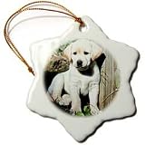 Dogs Labrador Retriever - Cute Yellow Lab Puppy - Ornaments